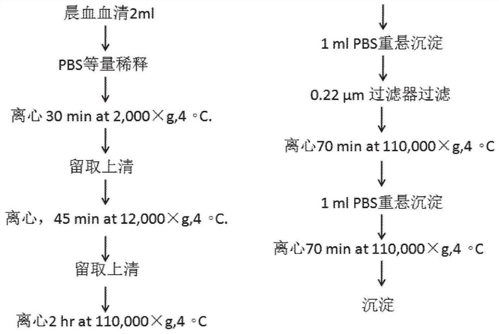 Serum exosomal protein markers in obstructive sleep apnea-hypopnea syndrome and their applications