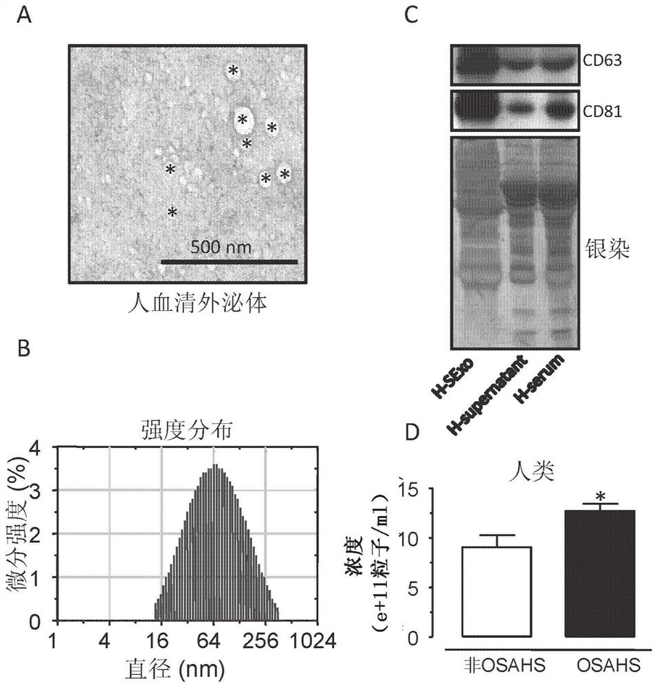 Serum exosomal protein markers in obstructive sleep apnea-hypopnea syndrome and their applications