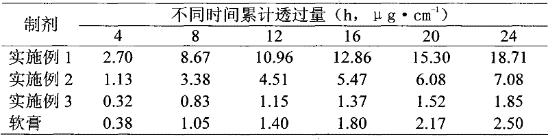 Triptolide transdermal patch and preparation method thereof