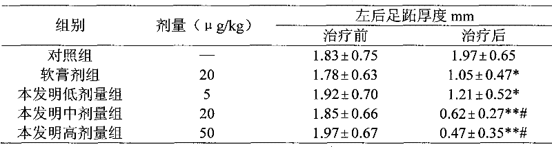 Triptolide transdermal patch and preparation method thereof