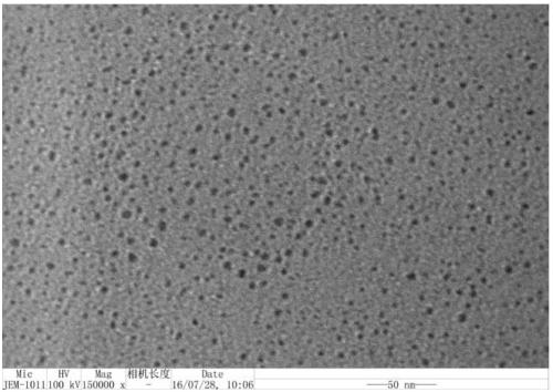 Microporous polymer-nano metal particle catalyst and its preparation method and application