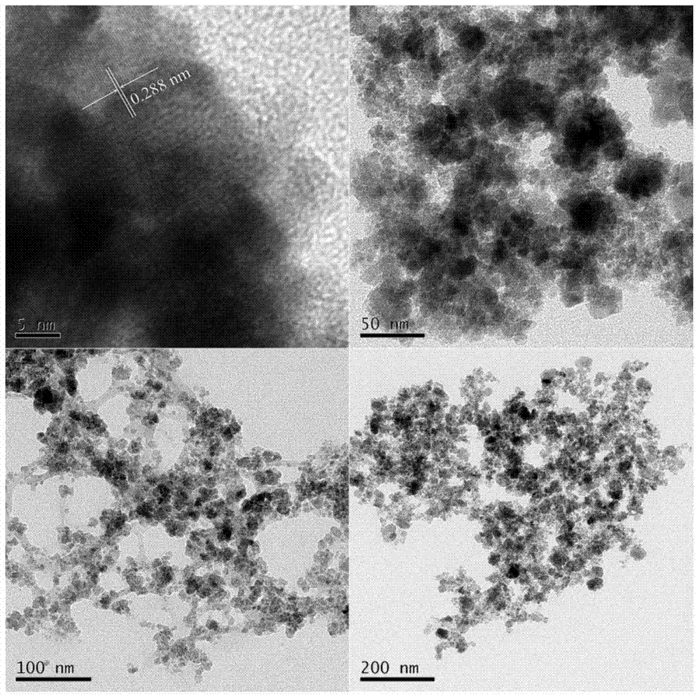Magnetic chitosan nanoparticle adsorbent, and preparation method and application thereof