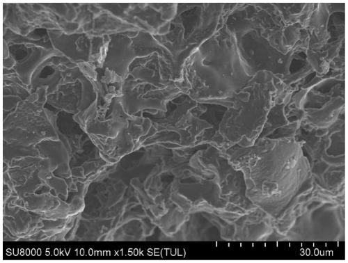 Wave-absorbing material based on biological waste and magnetic material waste and preparation method of wave-absorbing material