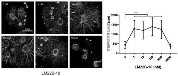 Application of compound LM22B-10 in preparation of medicine for treating corneal epithelium and nerve injury