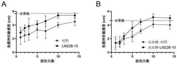 Application of compound LM22B-10 in preparation of medicine for treating corneal epithelium and nerve injury