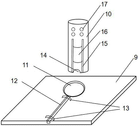 Operating table used for batch mouse caudal vein transfusion