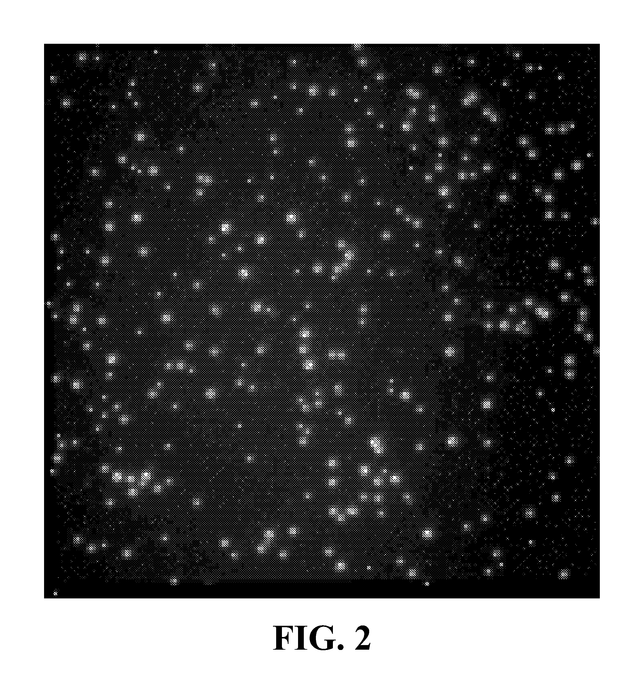 Method for analyzing dynamic detectable events at the single molecule level