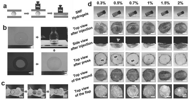 Silk protein nanofiber gel dressing with pressure spreadability, its preparation method and application