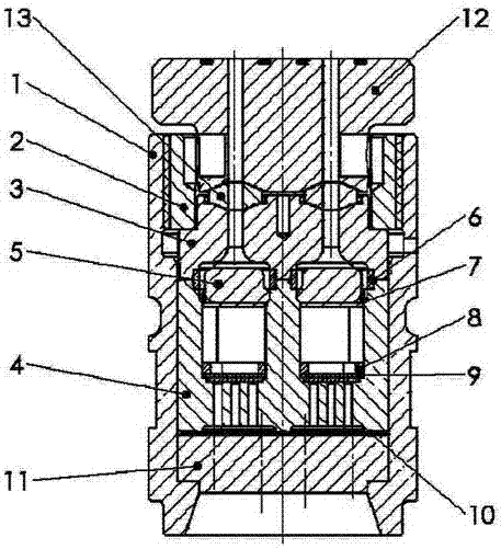 Anti-adhesion double-cavity spinning assembly
