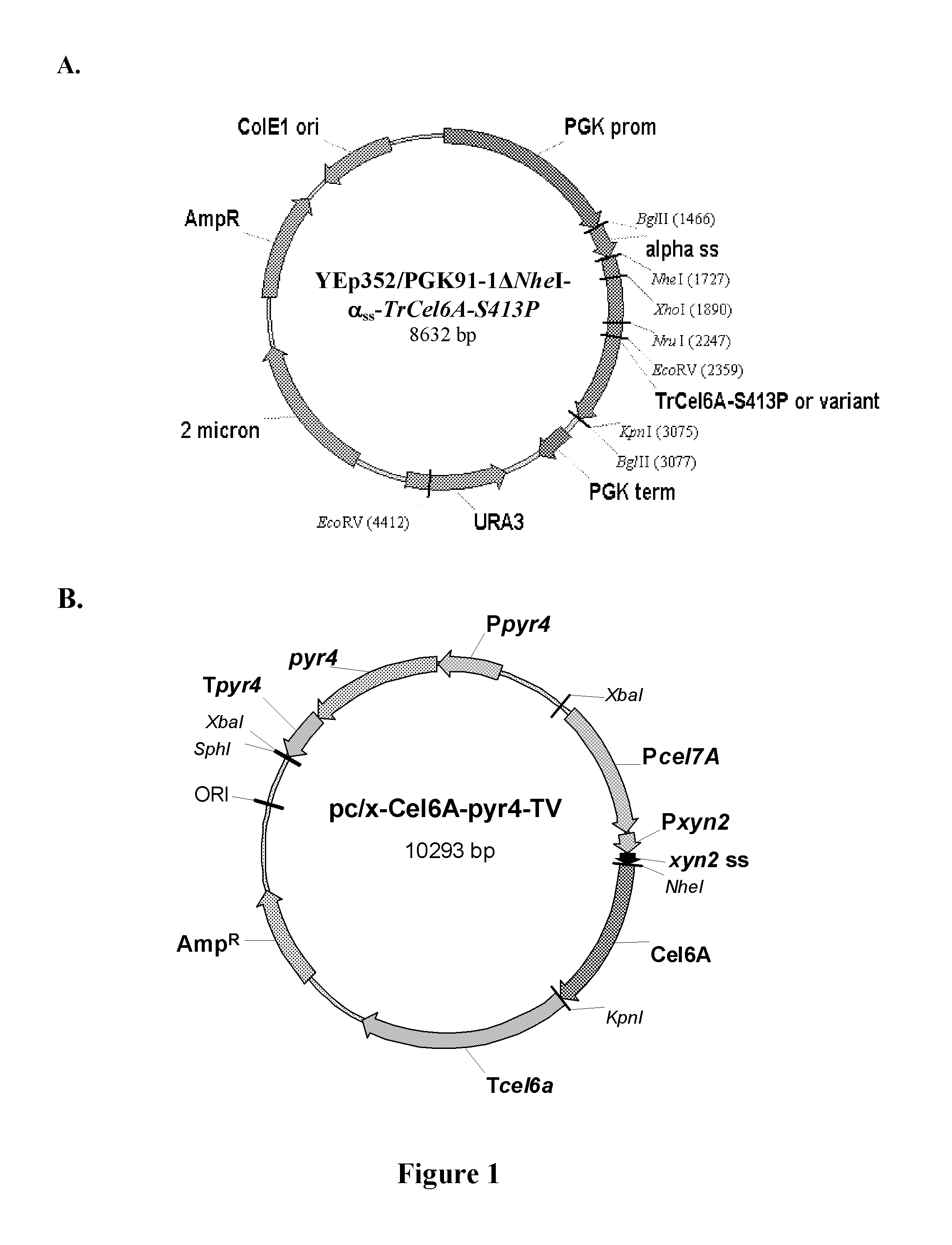 Cellulase enzymes having a modified linker and reduced lignin binding