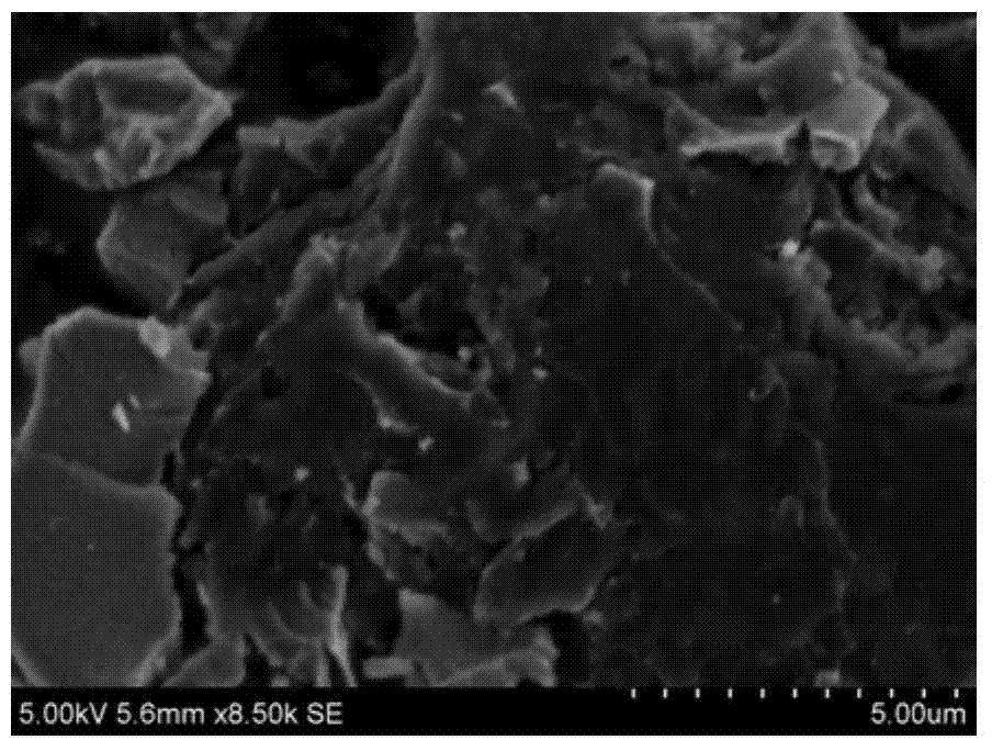 Antibacterial active carbon nano composite material and preparation method thereof