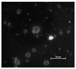 Method for preparing microcapsules by layer-by-layer assembly technology using oil-in-water microemulsion as template