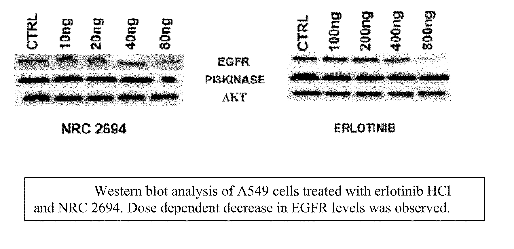 6,7-dialkoxy quinazoline derivatives and methods of treating drug resistant and other tumors