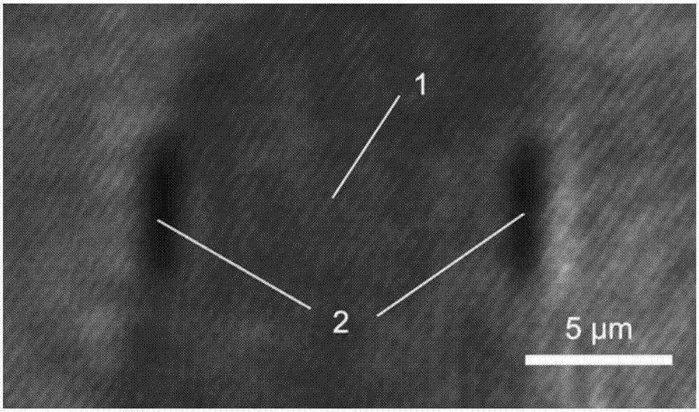 Metal cavity-based surface plasmon laser