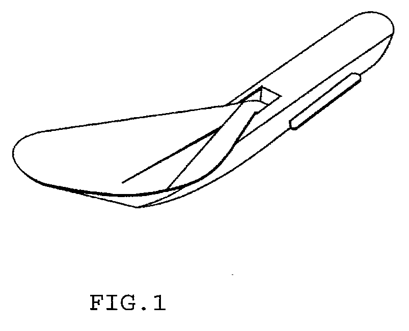 Folding Spoon Apparatus and Method