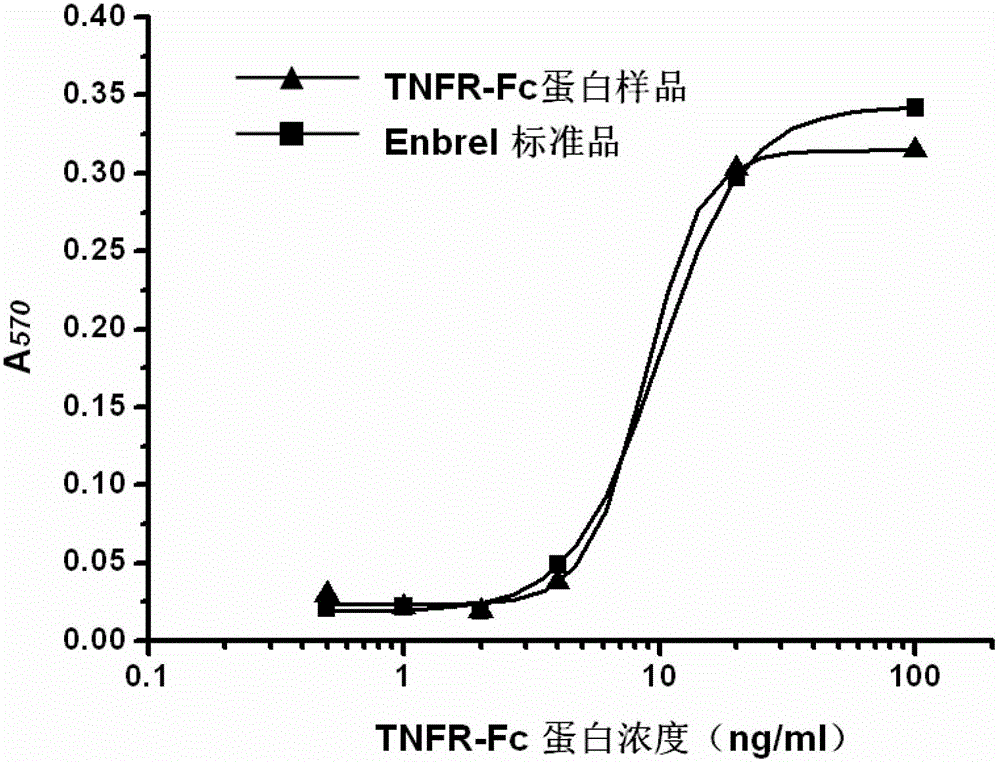 Gene for coding recombinant human TNFR-Fc fusion protein and application of gene