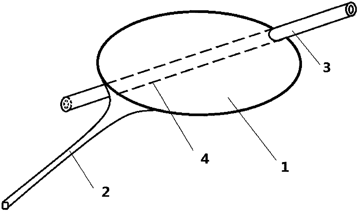 Nasal sinus flushing drug administration device