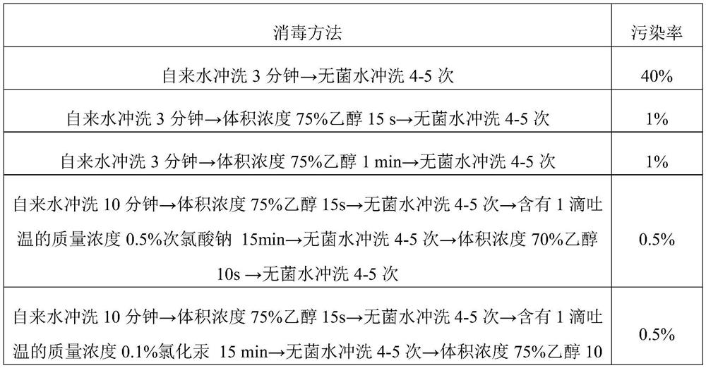 A kind of method of avocado tissue culture and rapid propagation