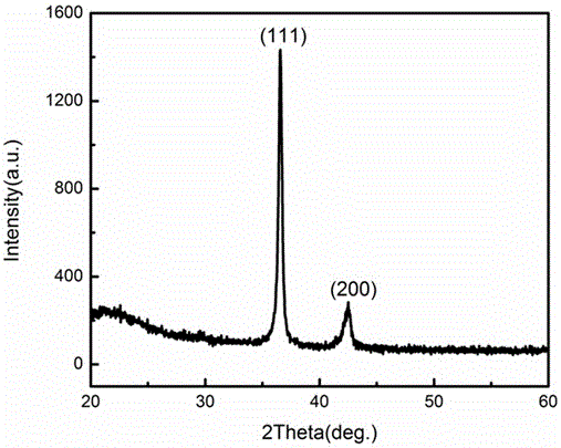 Surface-enhanced Raman scattering (SERS) substrate and manufacturing method thereof