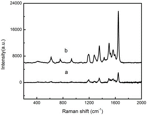 Surface-enhanced Raman scattering (SERS) substrate and manufacturing method thereof