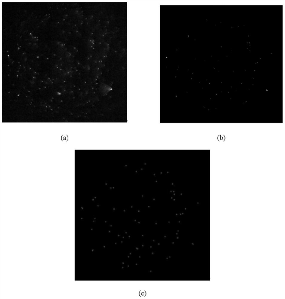 Particle size measuring method, device and equipment based on scattered light polarization detection