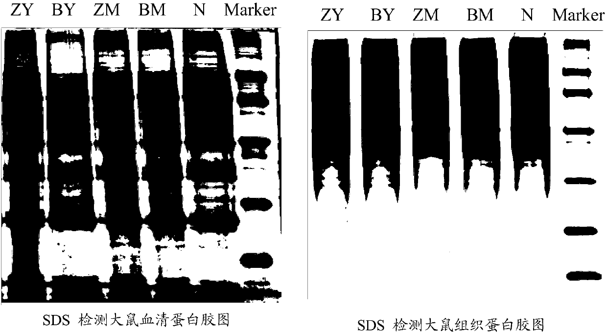 Mammalian differential serum protein and differentially expressed protein system of penile smooth muscle tissue of abnormal and phlegmatic type of impotence syndrome and screening method and application