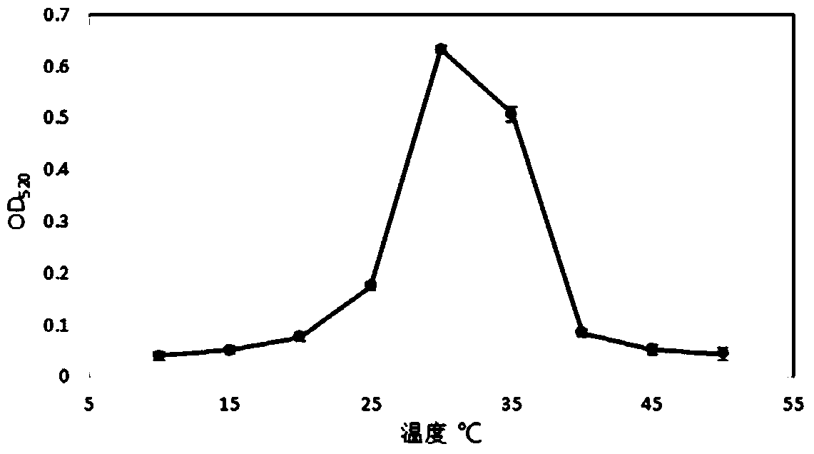 Method for increasing metal ore leaching rate, and special strain thereof