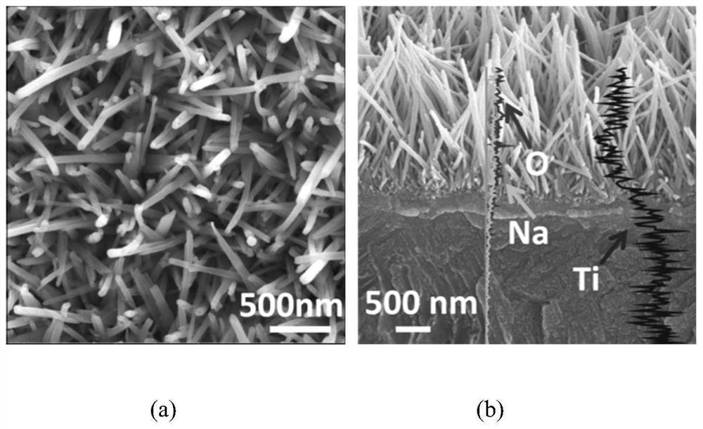 Preparation method of 3D-configuration sodium titanate nanofiber coating with high bonding strength