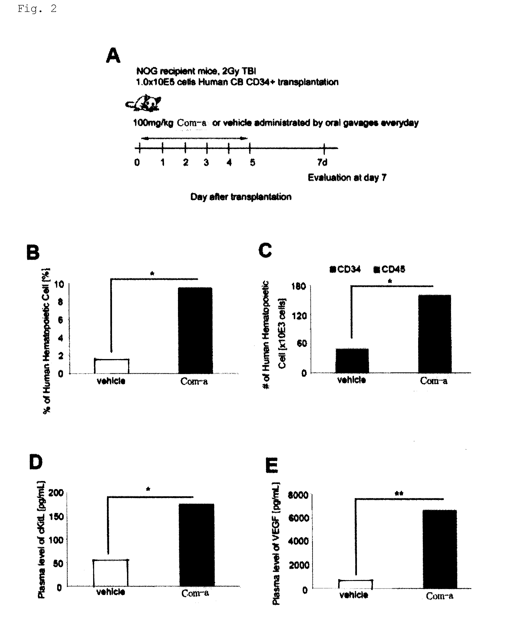 Novel use for pai-1 inhibitor