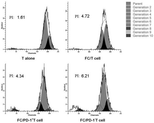 A method for rapid preparation of pd-1ˉt cells by efficient gene editing and its application