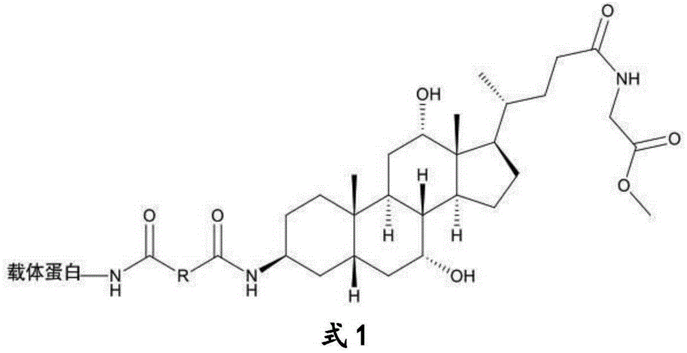 Glycocholic-acid immunodetection reagent based on anti-glycocholic acid specific antibody and preparation method thereof