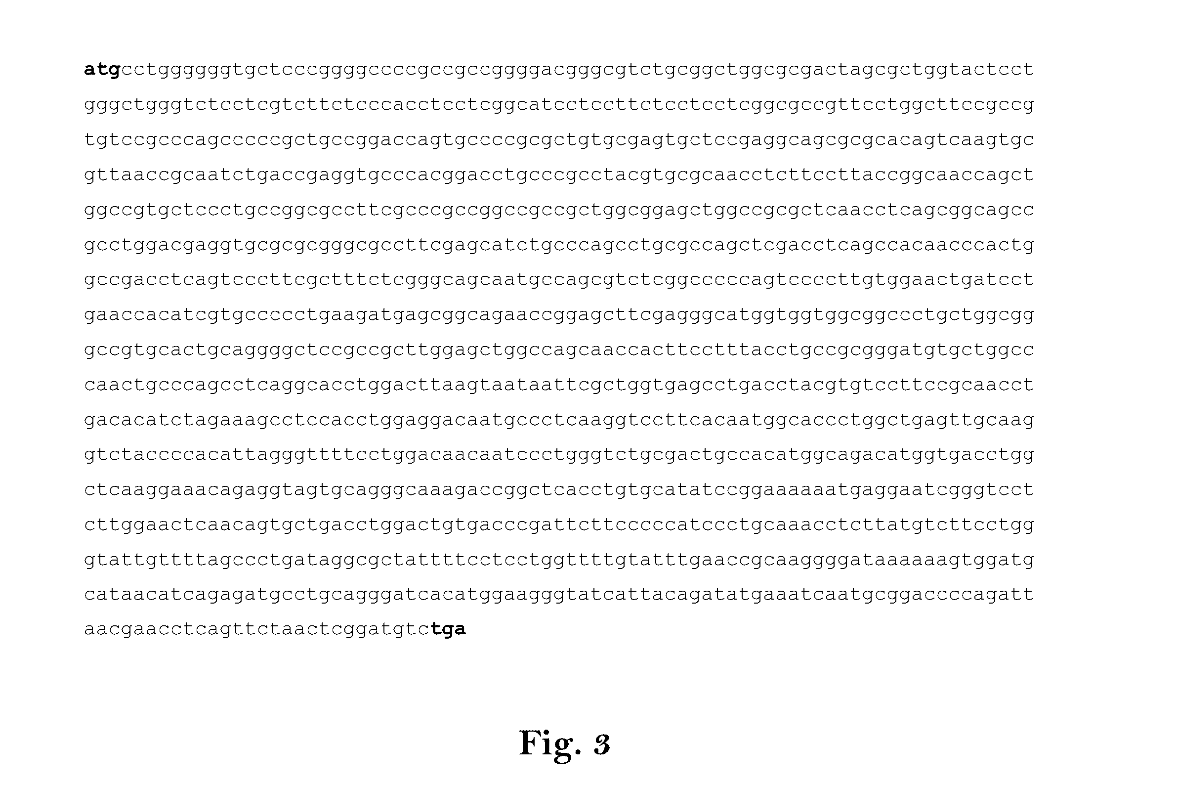 Composition for treating lung cancer, particularly of non-small lung cancers (NSCLC)