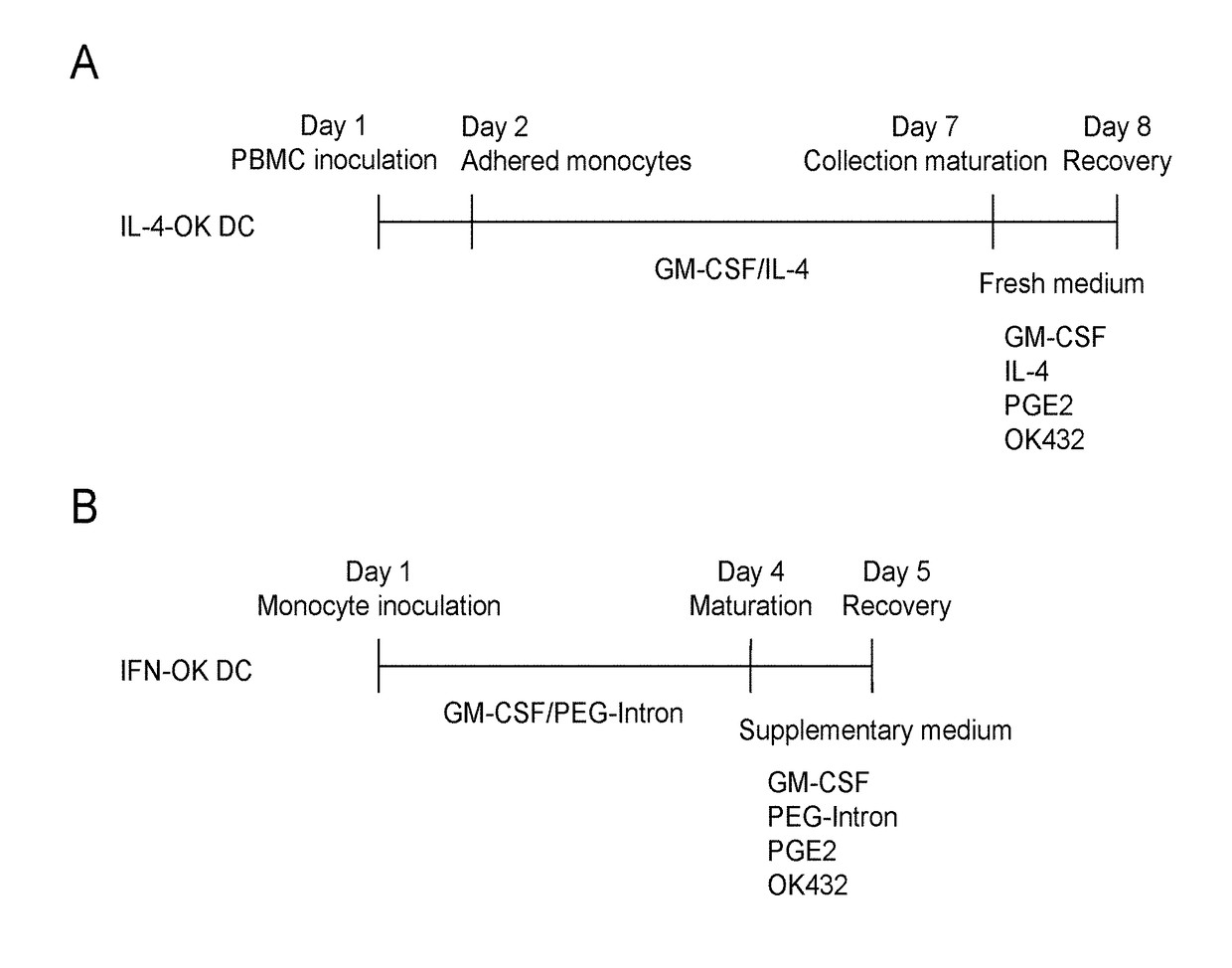 Method for preparing dendritic cells via non-adhesive culture using ifn