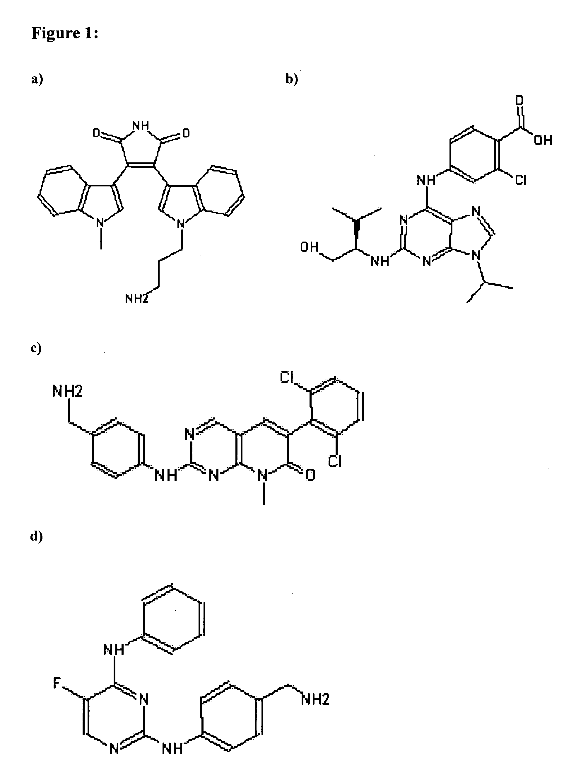 Process for the identification of novel enzyme interacting compounds