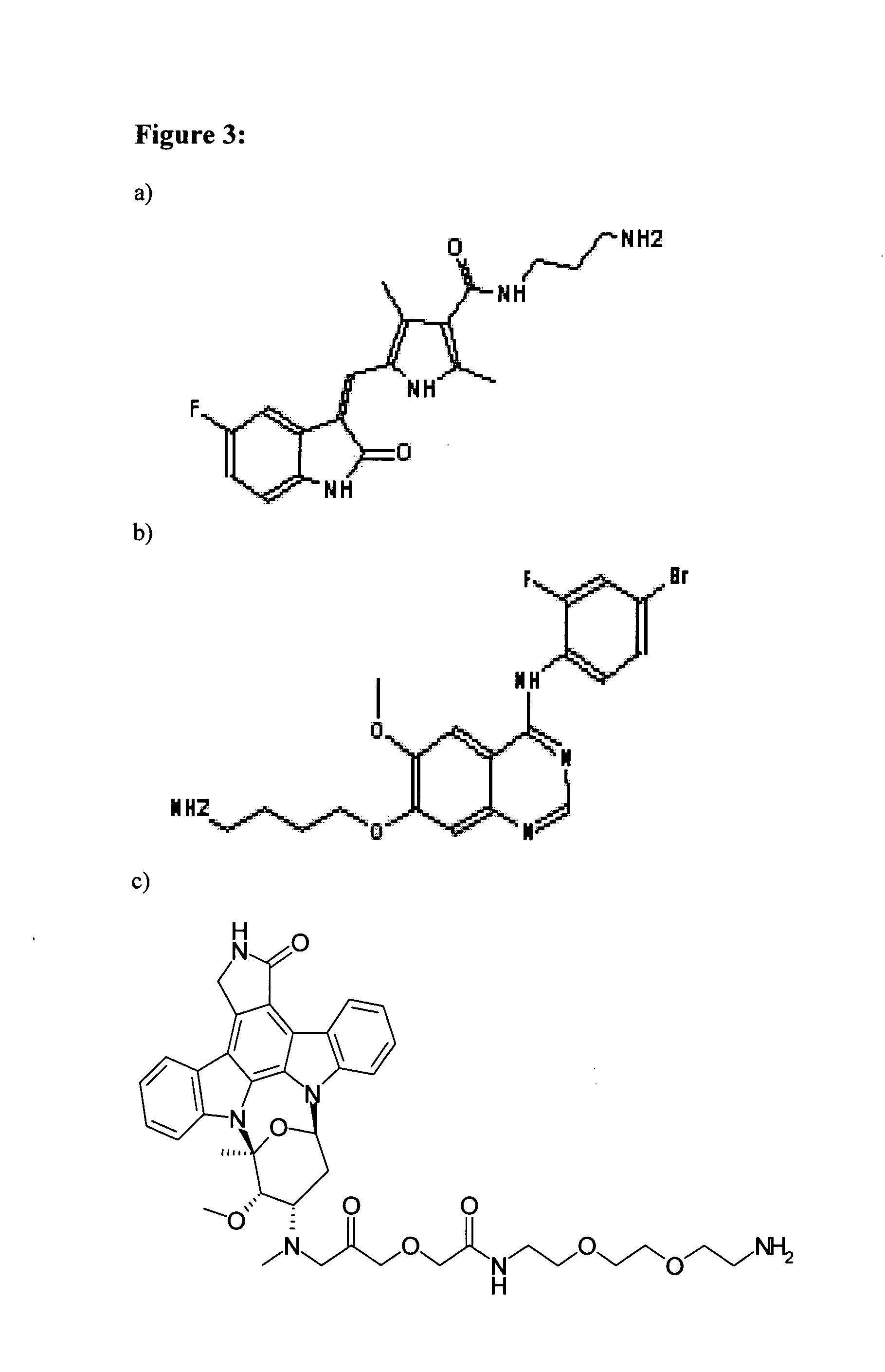 Process for the identification of novel enzyme interacting compounds