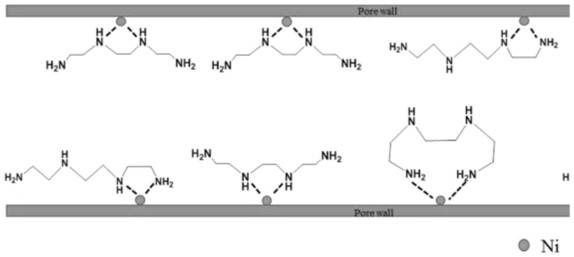 Metal anchoring organic amine CO2 adsorbent as well as preparation and application thereof