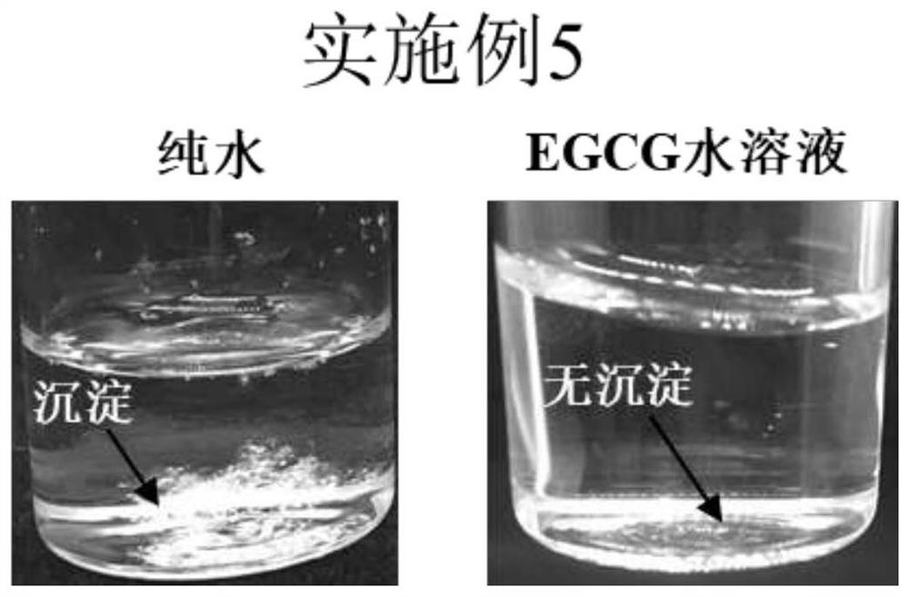 Method for solubilizing hydrophobic polyphenol with hydrophilic polyphenols