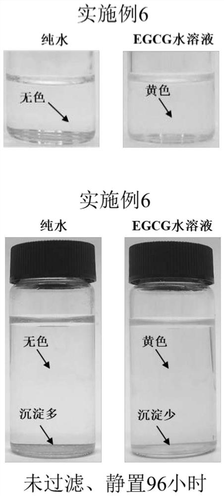 Method for solubilizing hydrophobic polyphenol with hydrophilic polyphenols