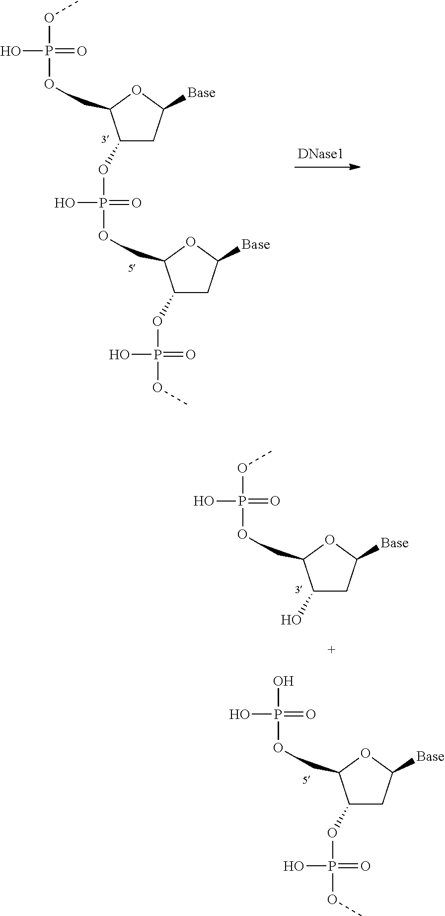 Cleaning compositions including nuclease enzyme and amines