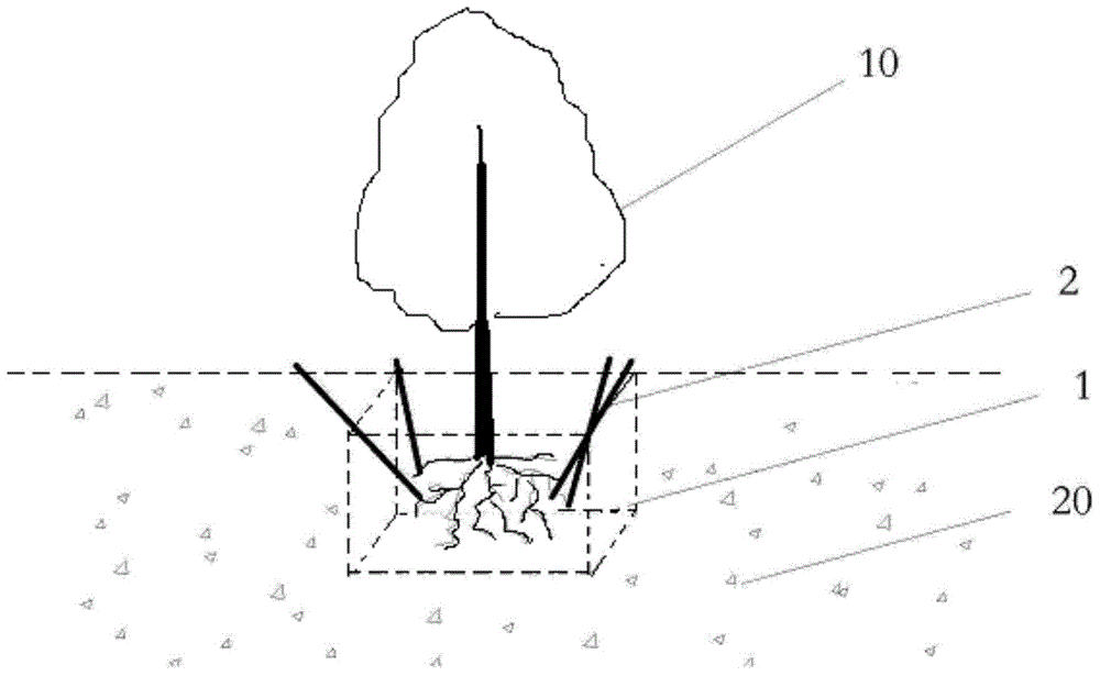 Root device for increasing tree-transplanting survival rate