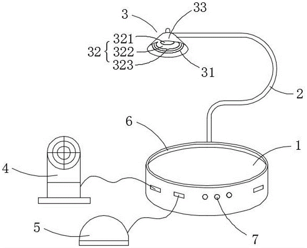 Lighting device for cultivating succulent plants