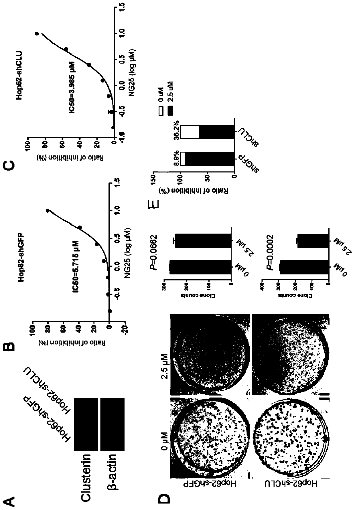 Medicine for treating lung cancer