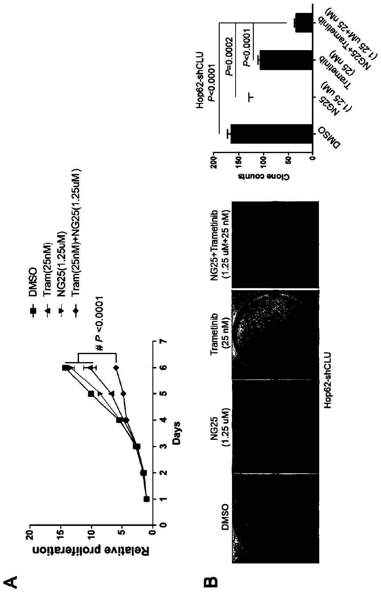 Medicine for treating lung cancer