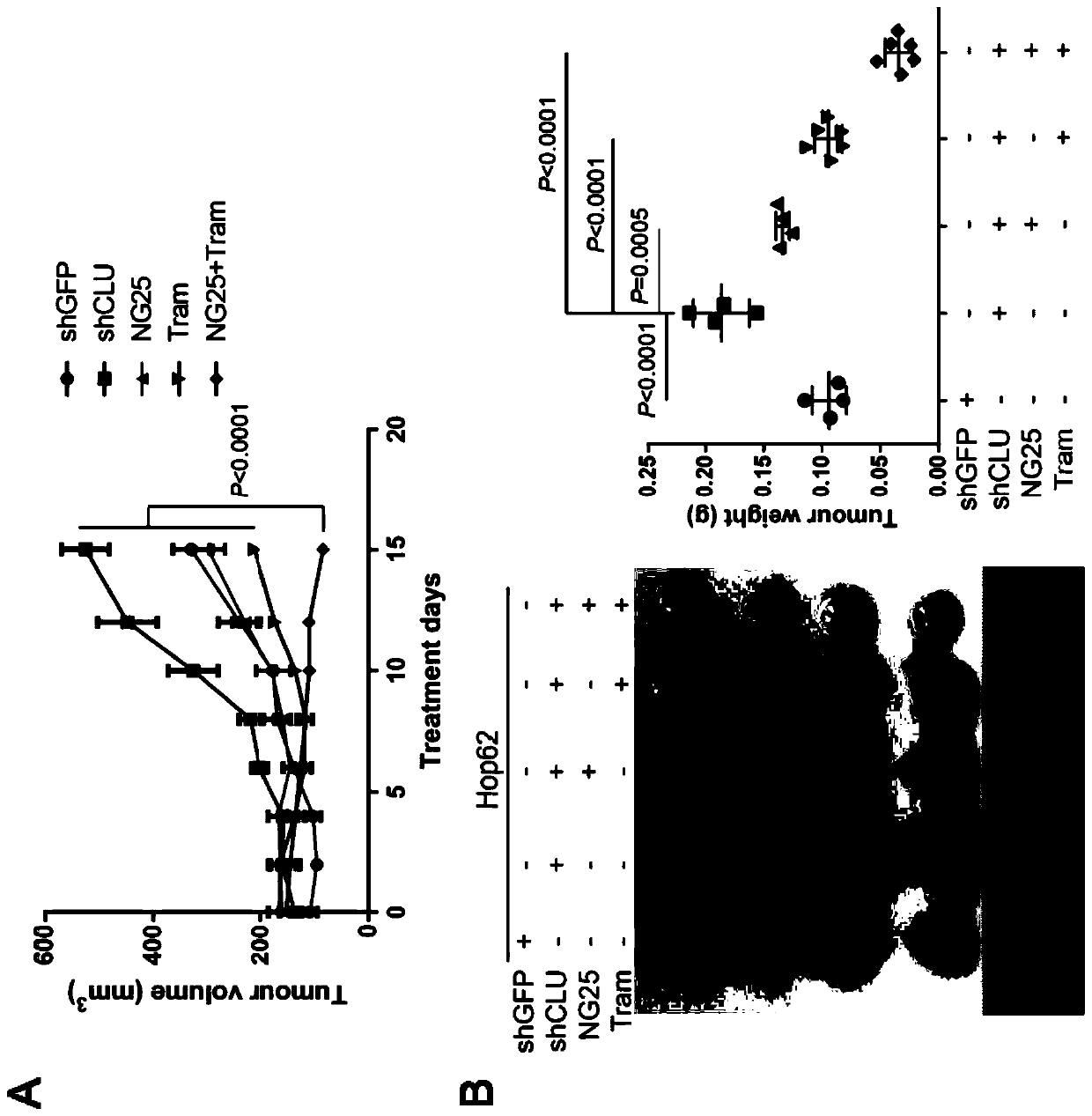 Medicine for treating lung cancer