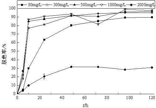 Bacterial strain for degrading dye with high efficiency