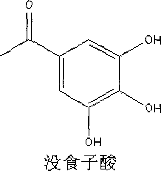 Method for preparing catechin monomers