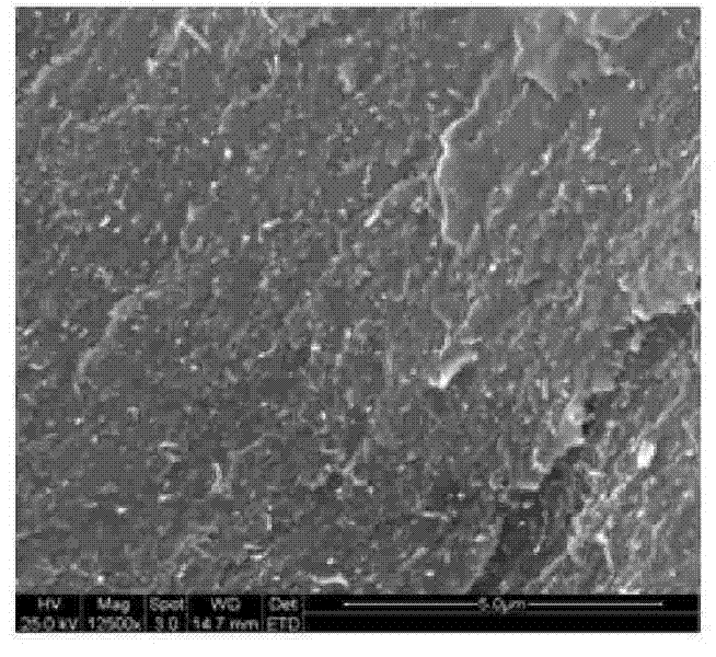 Ionic polymer composite material for brake and preparation method thereof