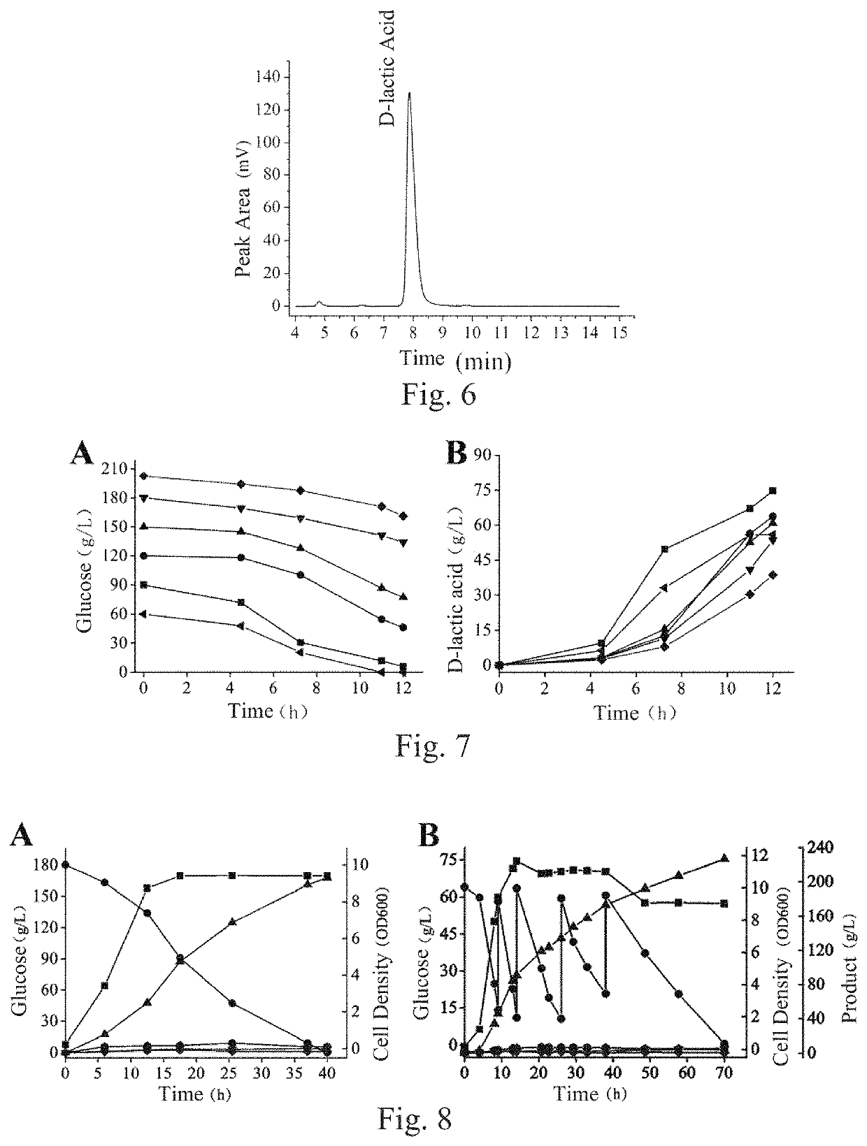 D-lactate dehydrogenase, engineered strain containing D-lactate dehydrogenase and construction method and use of engineered strain