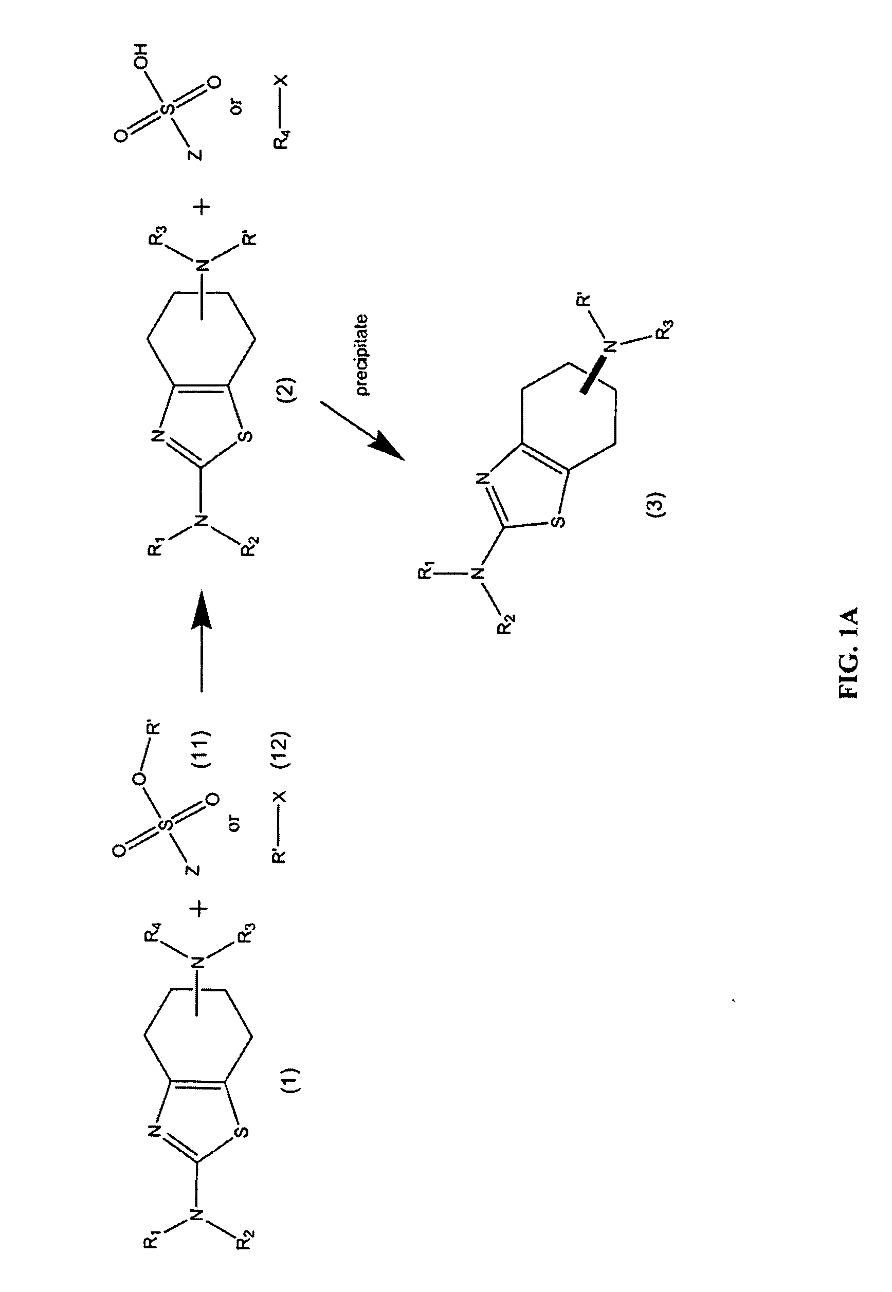 Synthesis of chirally purified substituted benzothiazoles