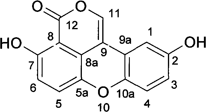 Antiatherosclerotic sparstolenin B compound and preparation method thereof